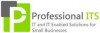 Professional It Solutions Pvt Ltd 